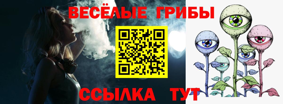 Псилоцибиновые грибы мицелий  наркота  Краснознаменск  Галлюциногенные грибы мухоморы  Вход с VPN 